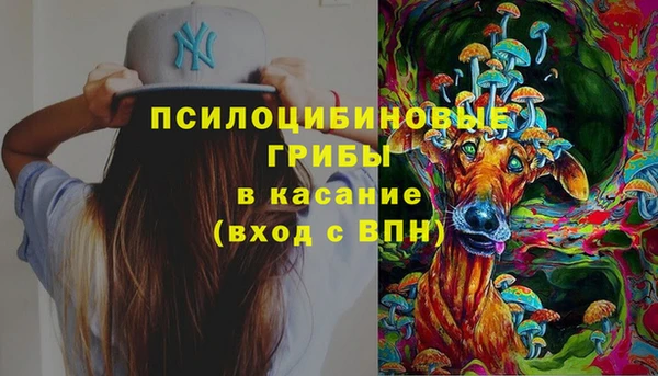 хмурый Алзамай
