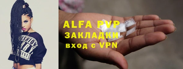 хмурый Алзамай