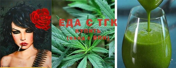 хмурый Алзамай