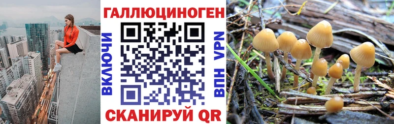 Псилоцибиновые грибы Psilocybe  Анадырь 
